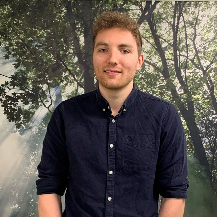 manual override of alt text